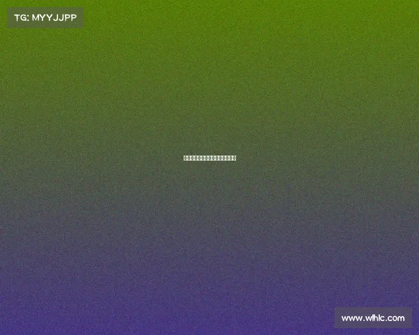 西甲赛事全盘点竞赛详情完整指南